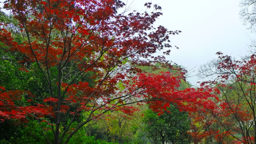 p1040265_.jpg