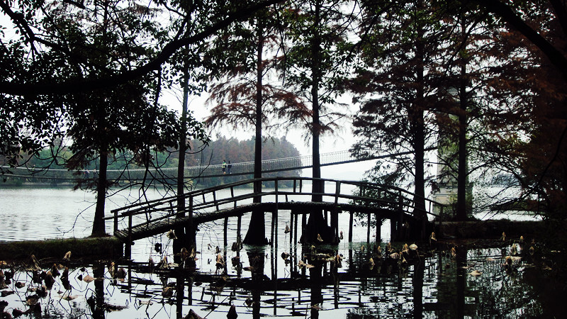 dsc00162_.jpg