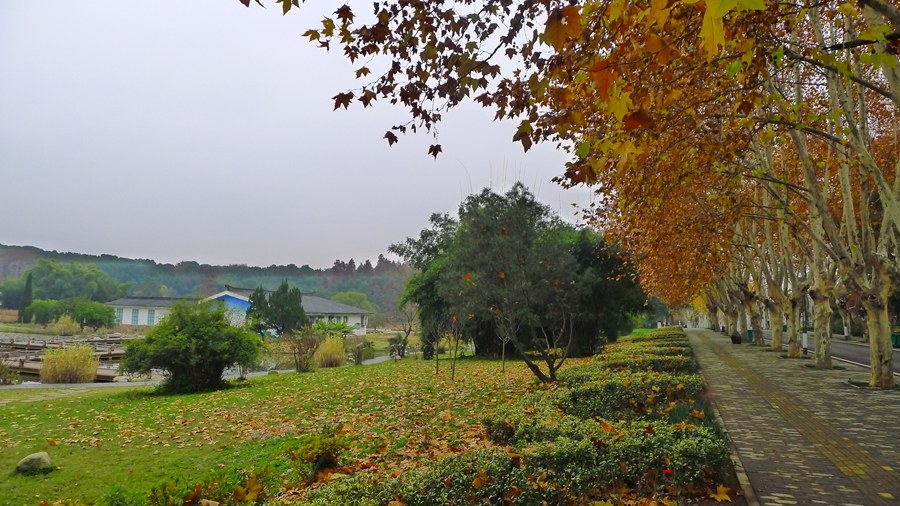 p1040287_.jpg