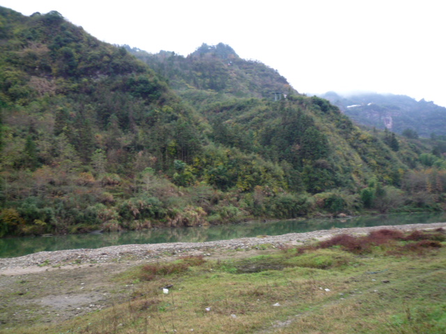 p1090450.jpg