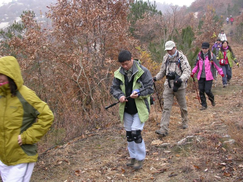 dscn8204.jpg
