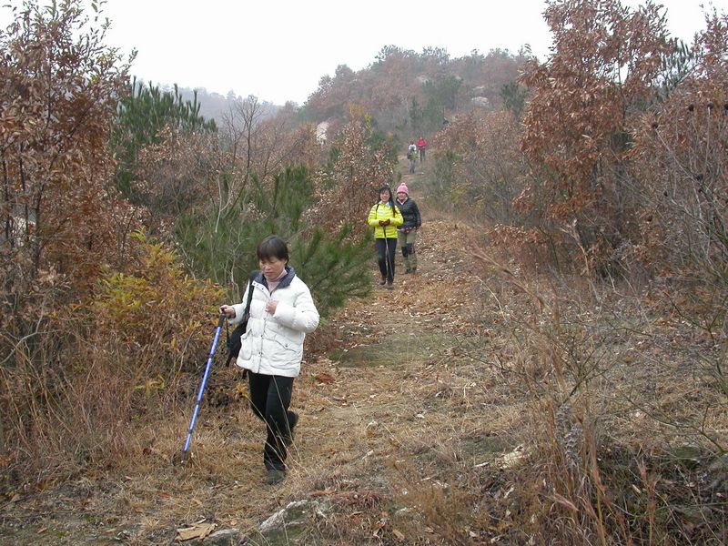 dscn8206.jpg