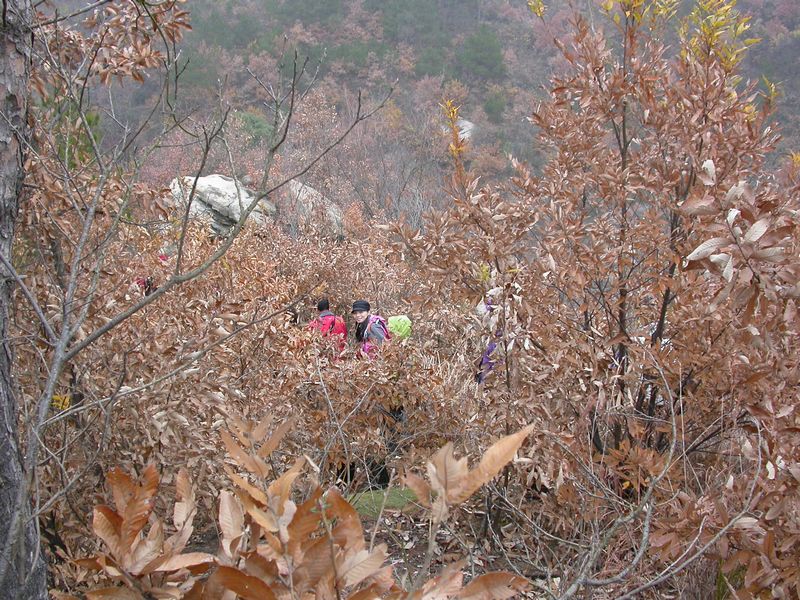 dscn8215.jpg