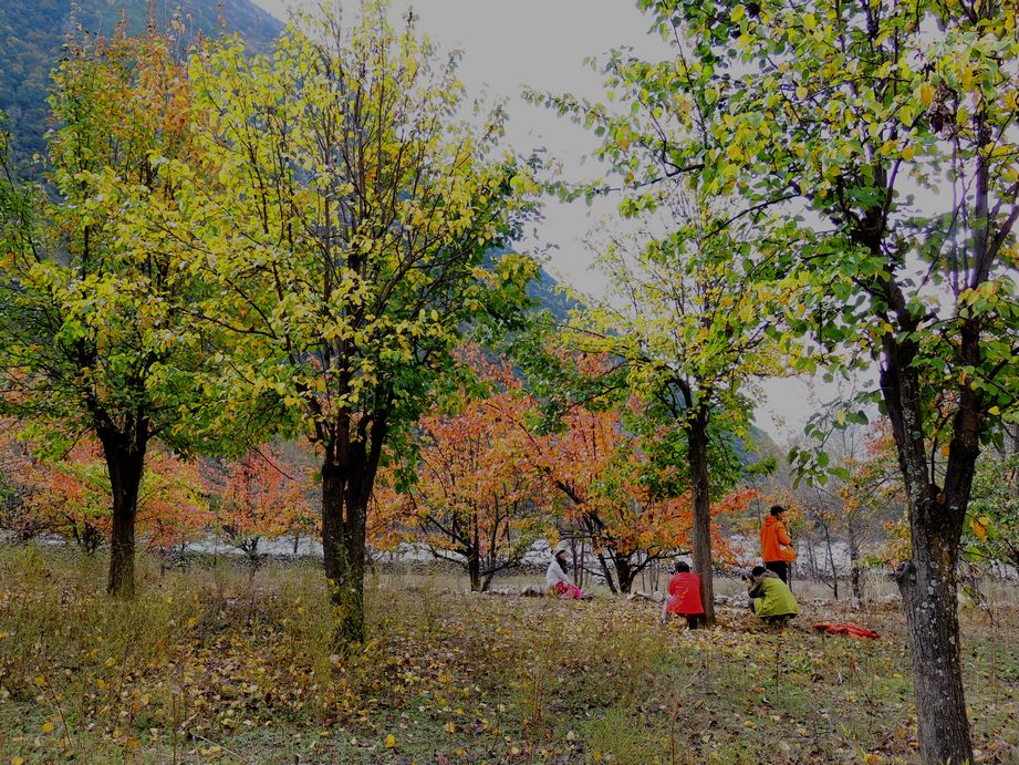 Ƭ 093.jpg