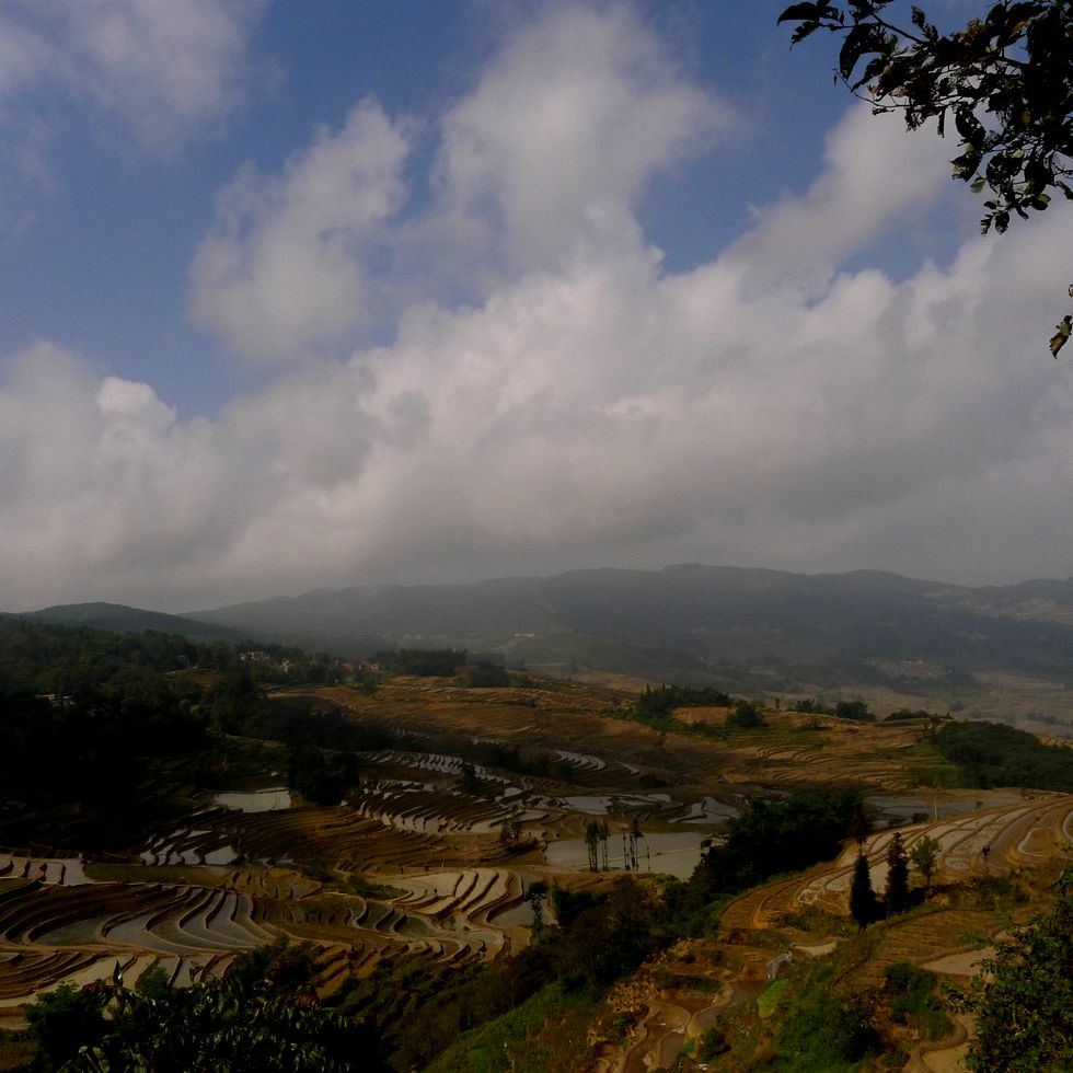 p1020278.jpg