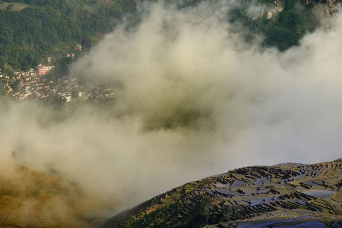 dsc_3599-0-1.jpg