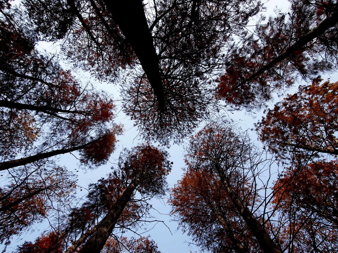 pc057494_С.jpg