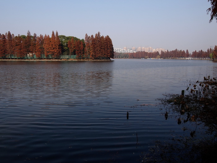 pc057533_С.jpg