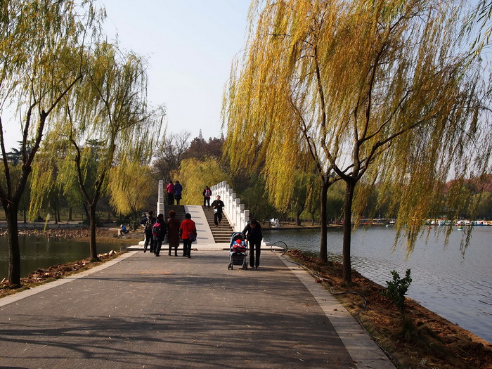 pc057536_С.jpg