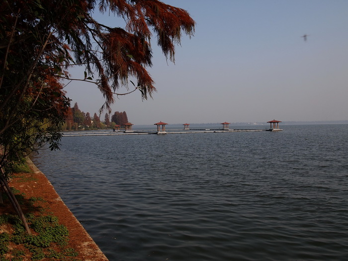 pc057499_С.jpg