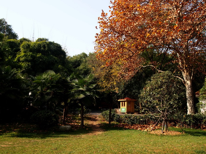 pc057502_С.jpg
