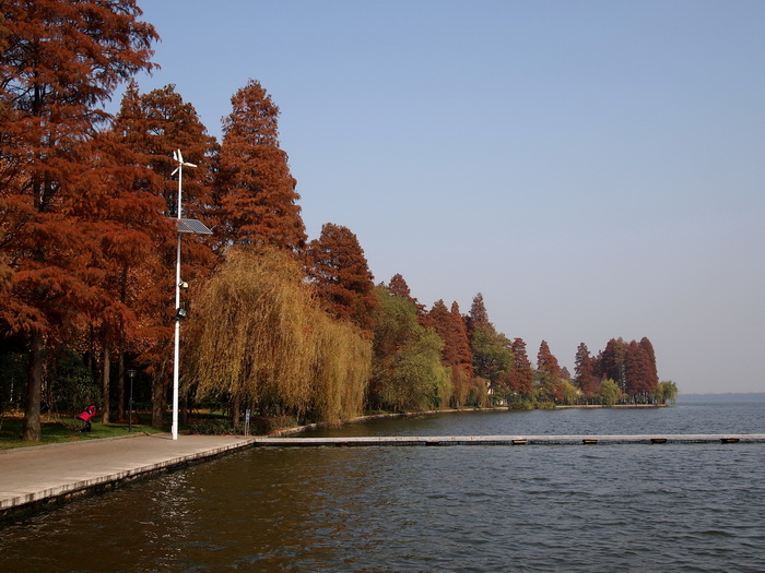 pc057505_С.jpg