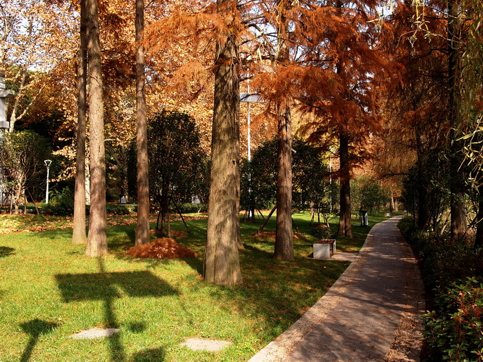 pc057508_С.jpg
