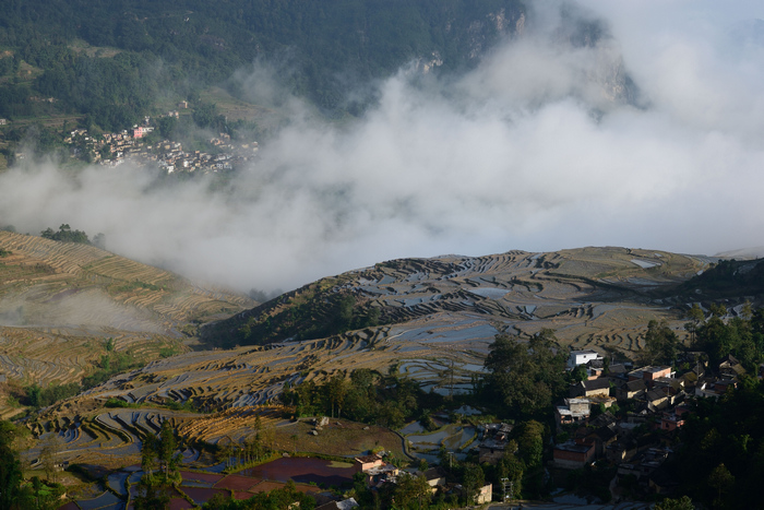 dsc_3592-0-1.jpg