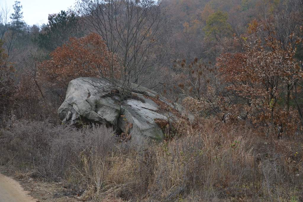 dsc_9410.jpg
