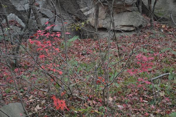 2012.12.2ʮ̶050050.jpg