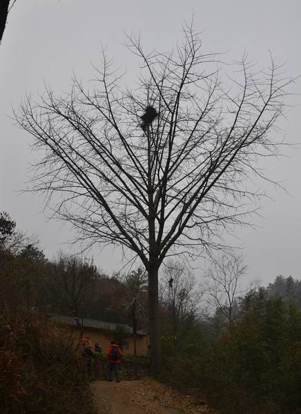 2012.12.2ʮ̶052052.jpg