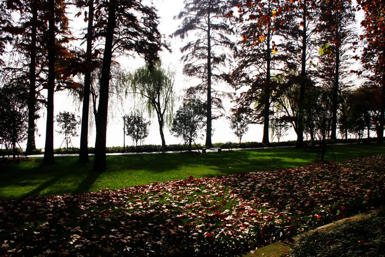 neo_img_2012.12.5 221.jpg