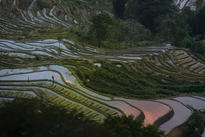 dsc_3751-0-1.jpg