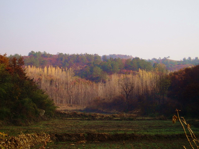 p1012338.jpg