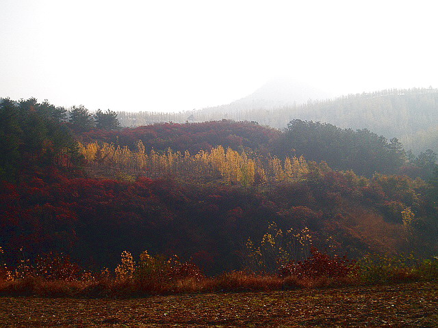 p1012340.jpg