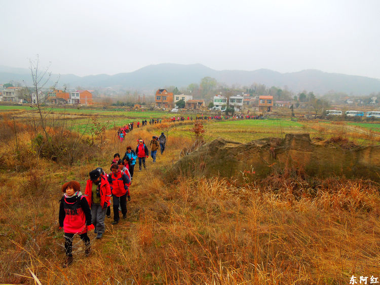 dscn9798.jpg