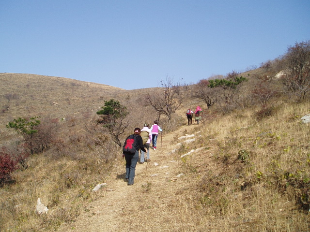 p1012381.jpg