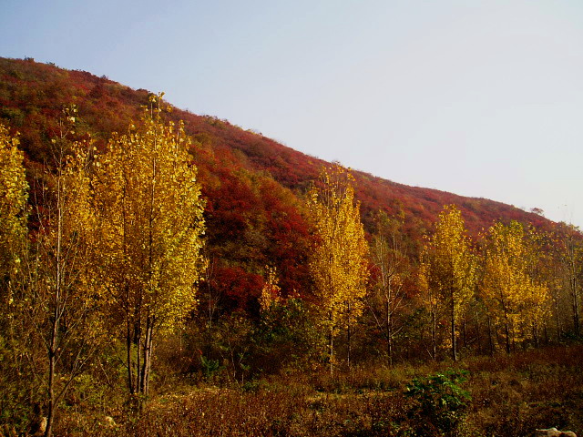 p1012394.jpg
