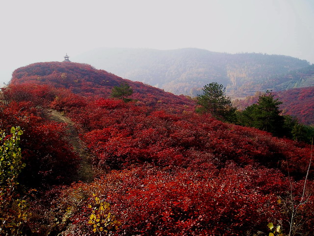 p1012366.jpg