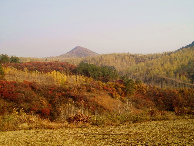 p1012405.jpg