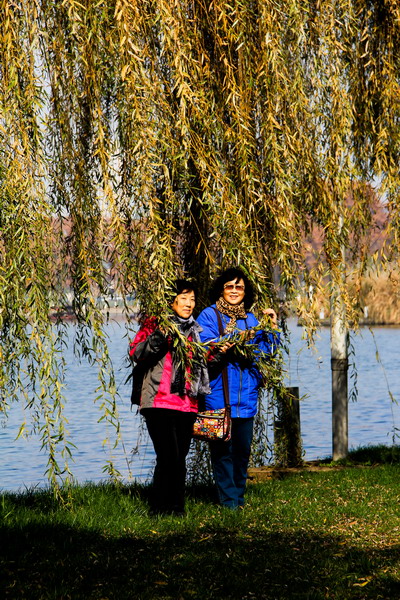 img_3356_СС.jpg