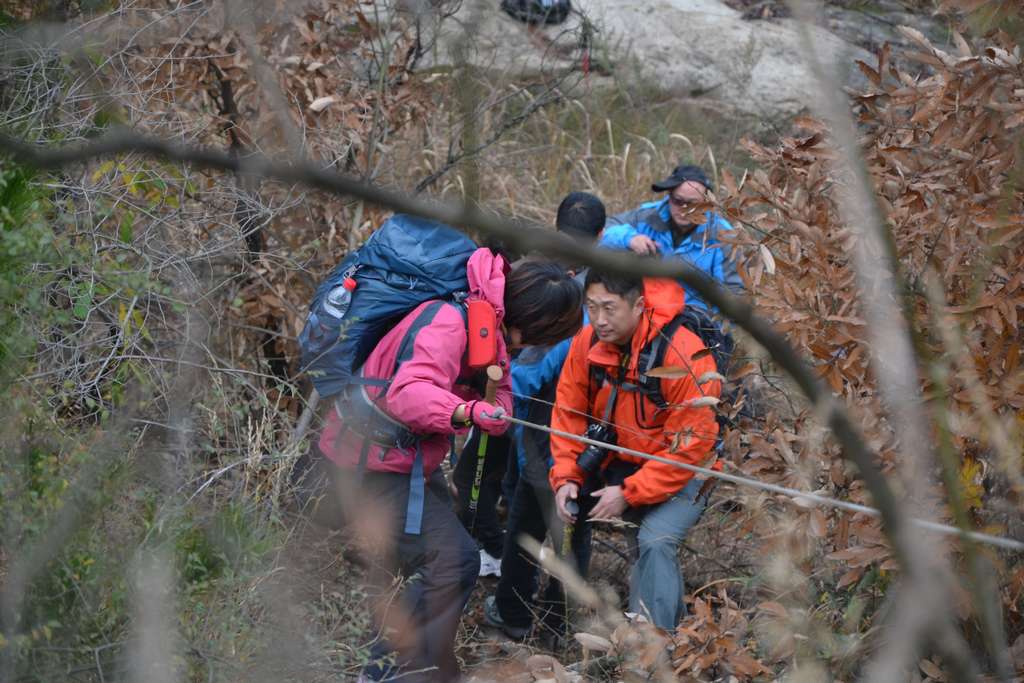 dsc_9364.jpg