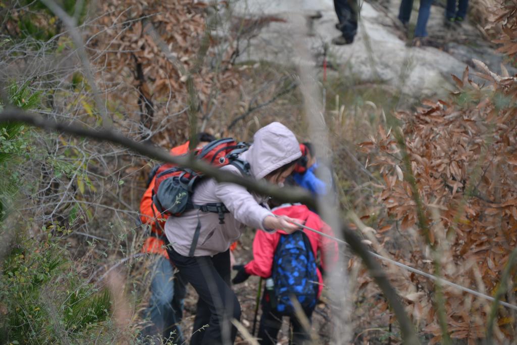 dsc_9366.jpg