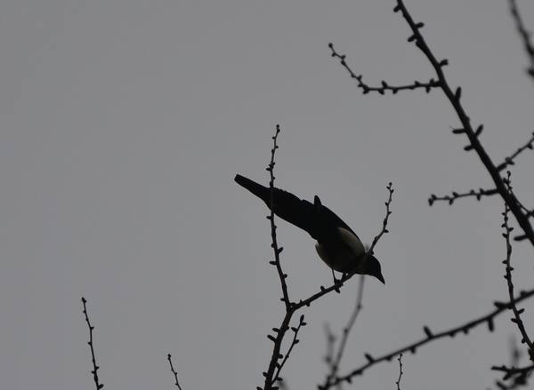 2012.12.2ʮ̶059059.jpg