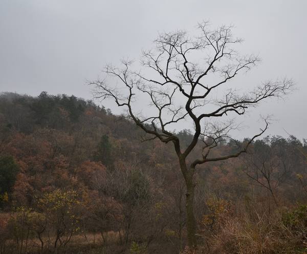 2012.12.2ʮ̶061061.jpg