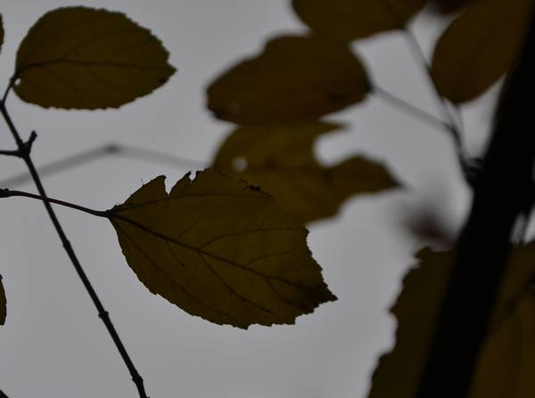 2012.12.2ʮ̶062062.jpg