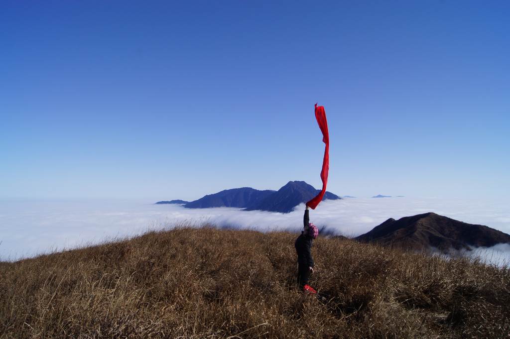 neo_img_dsc02395.jpg