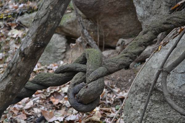 2012.12.2ʮ̶063063.jpg