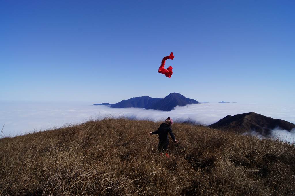 neo_img_dsc02397.jpg
