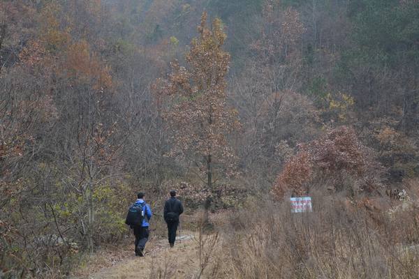 2012.12.2ʮ̶071071.jpg