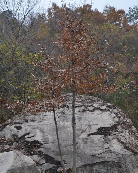 2012.12.2ʮ̶073073.jpg