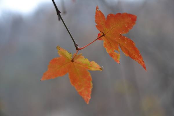 2012.12.2ʮ̶077077.jpg