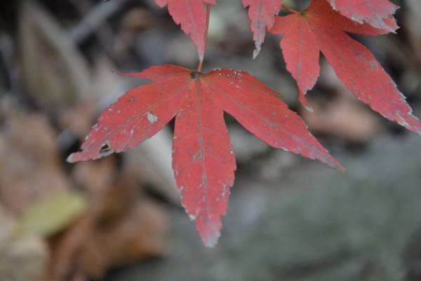 2012.12.2ʮ̶082082.jpg