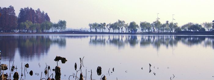 imgp1216aa.jpg