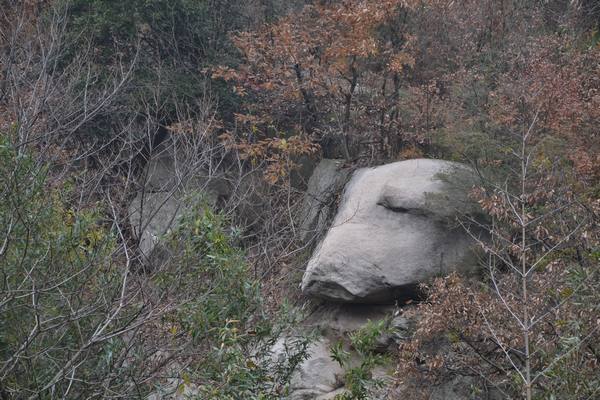 2012.12.2ʮ̶055055.jpg