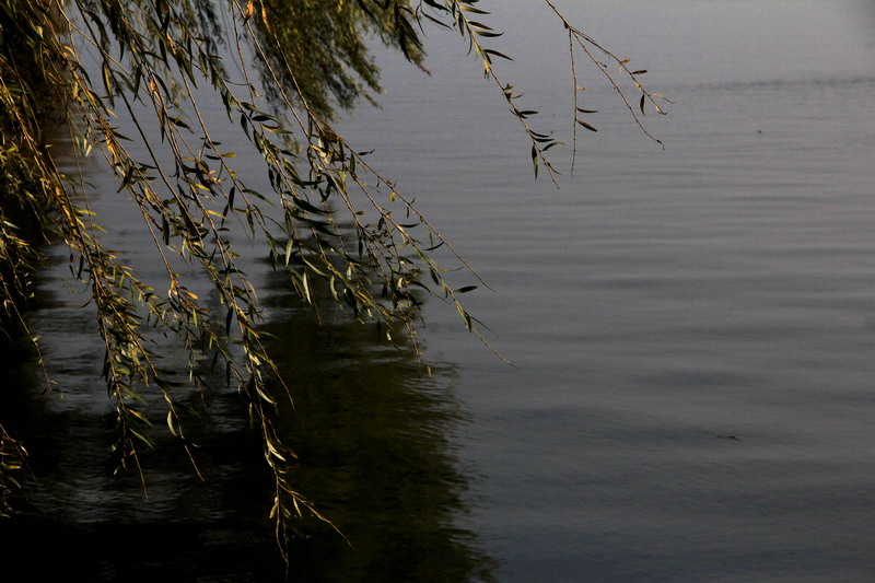 img_3276_СС.jpg