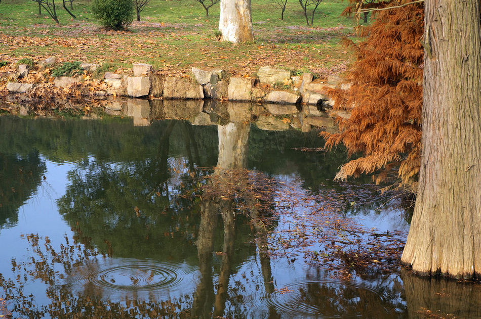 dsc07560.jpg