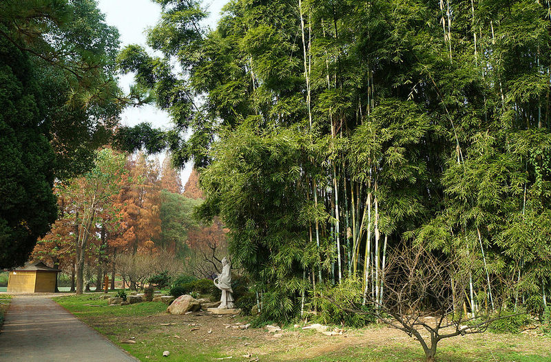 dsc07696.jpg