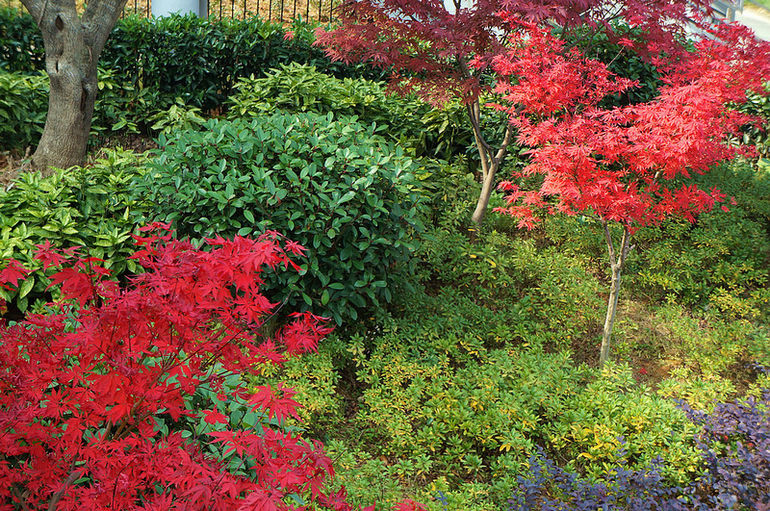 dsc07727.jpg