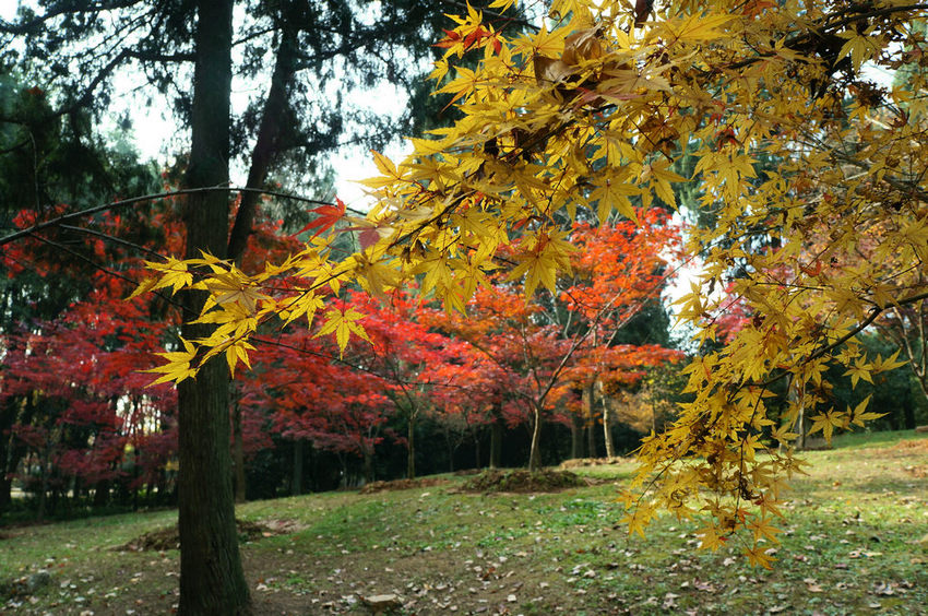 dsc07807.jpg